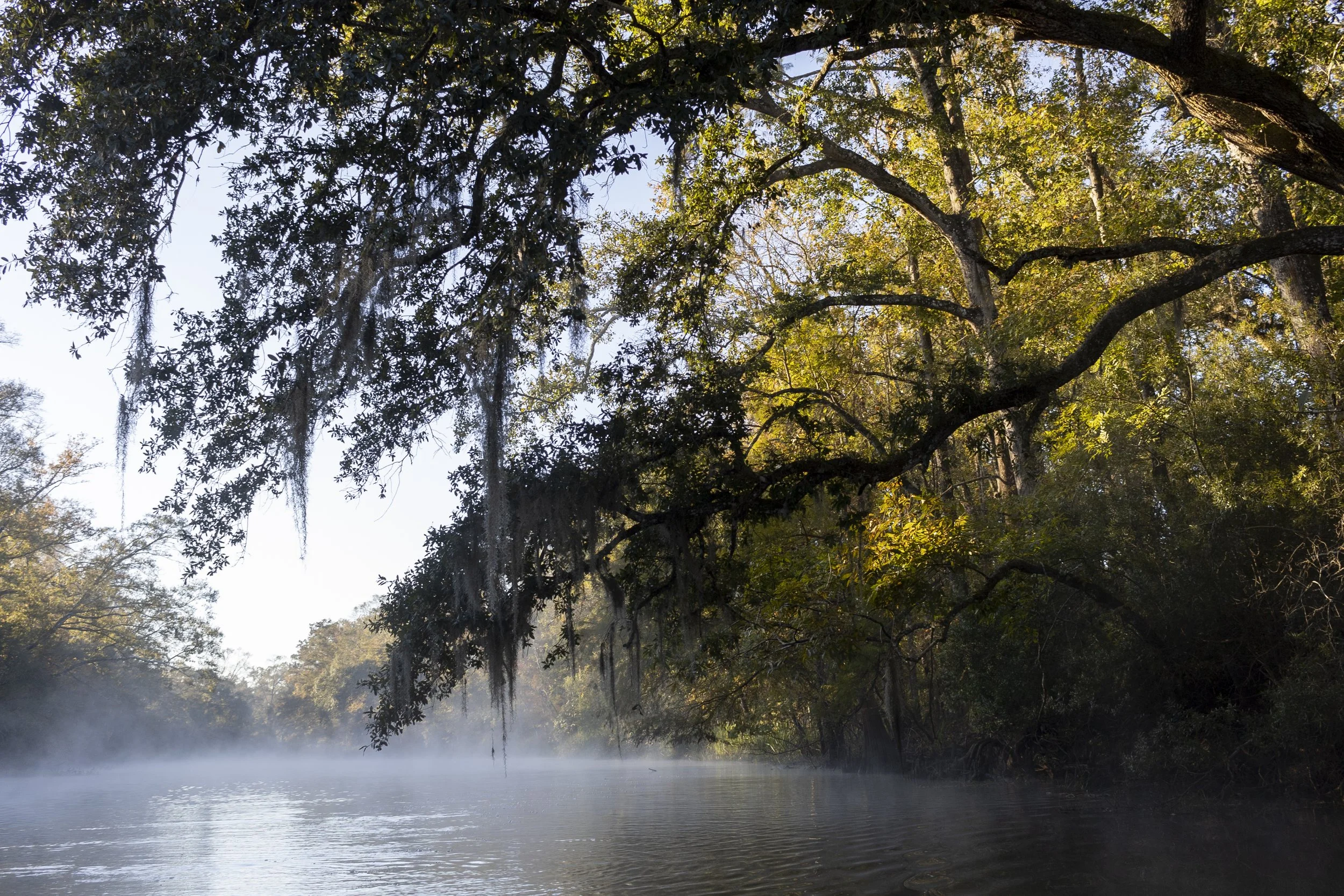Bayou Mercier — Atchafalaya National Heritage Area